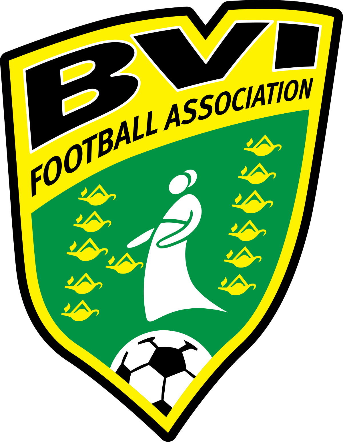 BVIFA Logo